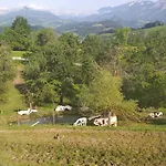 Oberwengerhof Aparthotel 3*