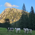 Oberwengerhof