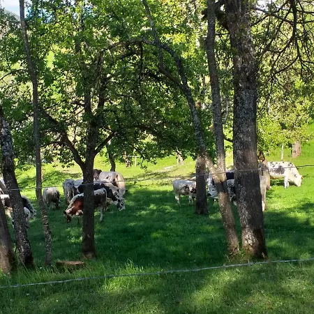 Apart Otel Oberwengerhof 3*