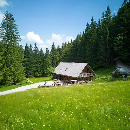 Oberwengerhof 3* Spital Am Pyhrn