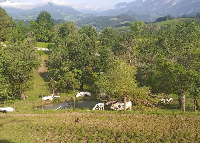 Oberwengerhof Ξενοδοχείο με διαμερίσματα 3*