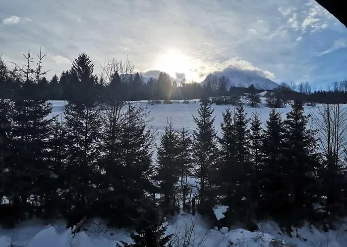 Apart Otel Oberwengerhof 3*