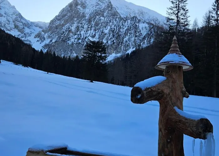 Ξενοδοχείο με διαμερίσματα Oberwengerhof