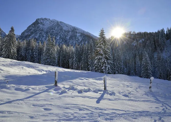 Apart Otel Oberwengerhof 3*