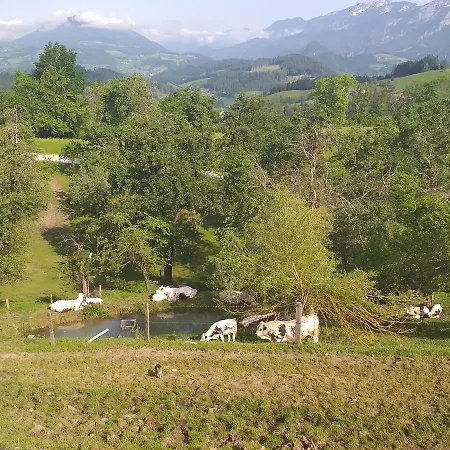 Oberwengerhof Aparthotel 3*