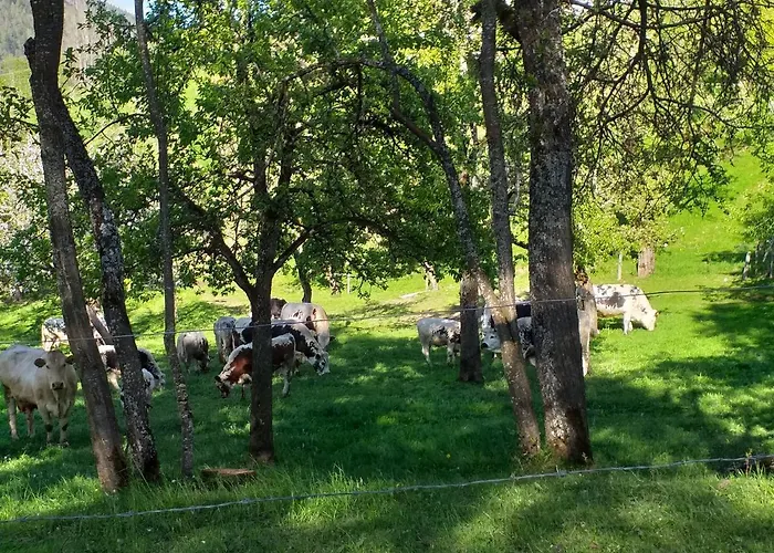 Ξενοδοχείο με διαμερίσματα Oberwengerhof 3*